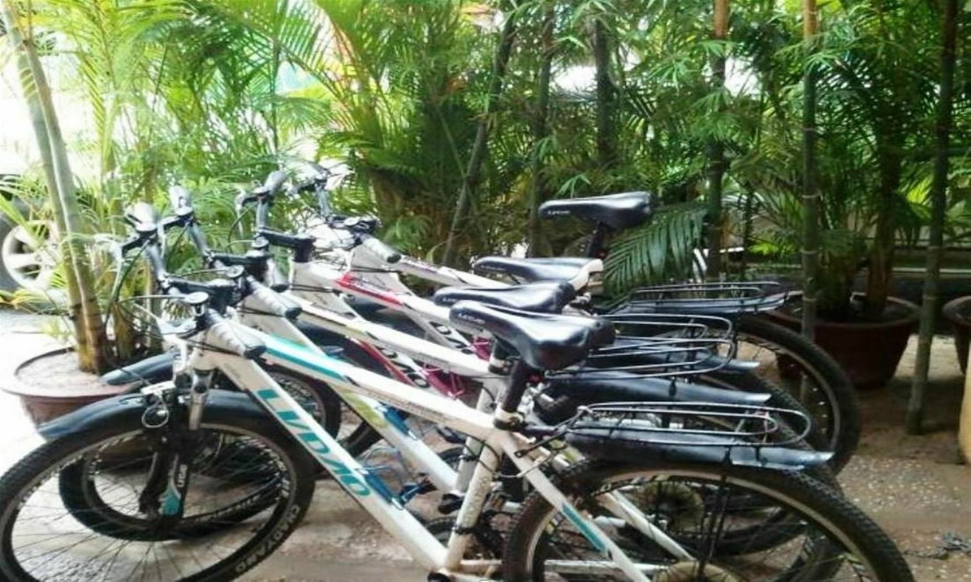 The Cyclo Siem Reap Hotel Екстериор снимка